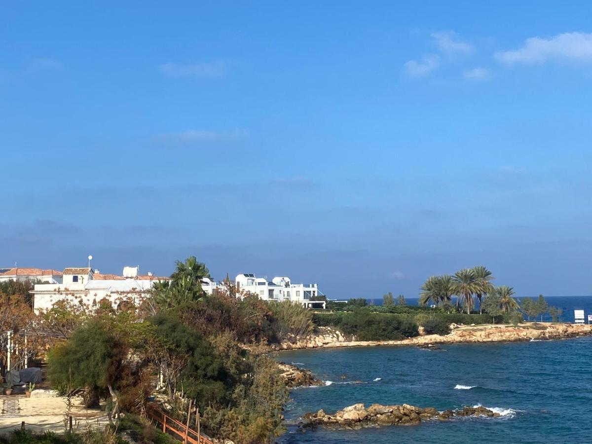 Olive Tree Villa - Protaras Ngoại thất bức ảnh